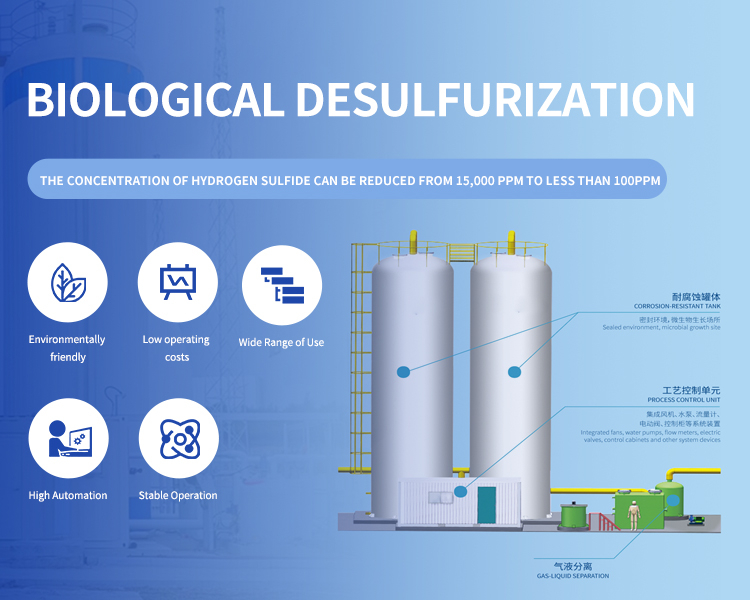 Biological desulfurization